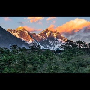 Meet your Posher, Bahar